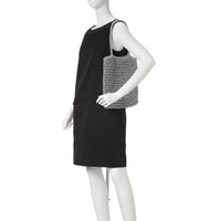 ANTEPRIMA_WIREBAG_FLAT_LUGGAGE_24_7_RAFIA_PB20SHY0DD_Tote_Bag_Medium_silver_model