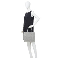 ANTEPRIMA_WIREBAG_WIRE_GLITTER_PBS726133_Tote_Bag_silver_model